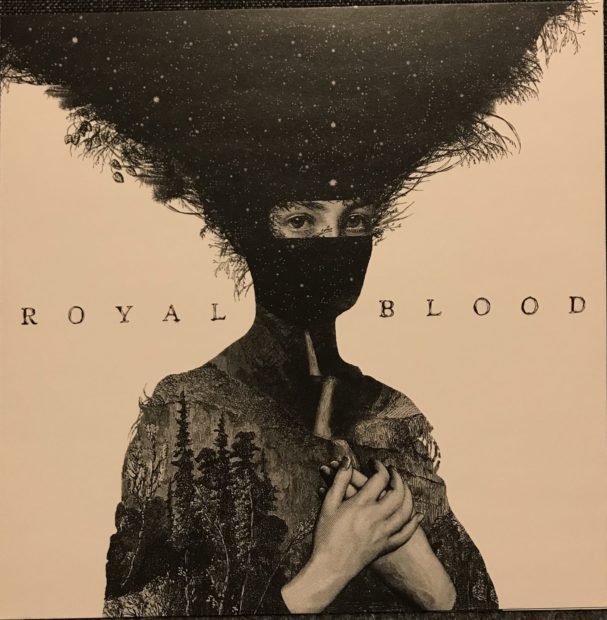 Cover image for album 'Royal Blood"